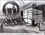 Forepaugh_elepant_1884_b